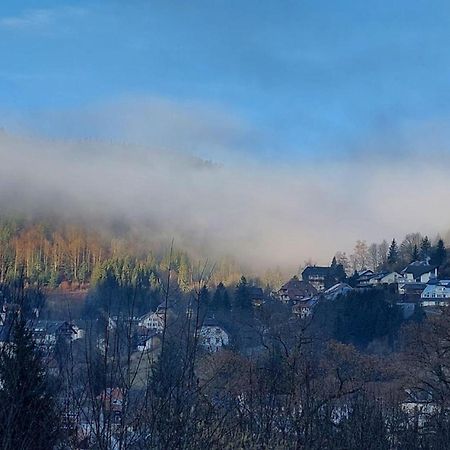 Haus-Herzogenhorn-Sunrise Todtmoos Bagian luar foto