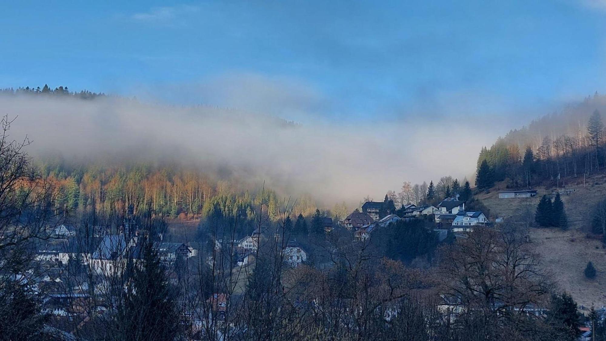 Haus-Herzogenhorn-Sunrise Todtmoos Bagian luar foto